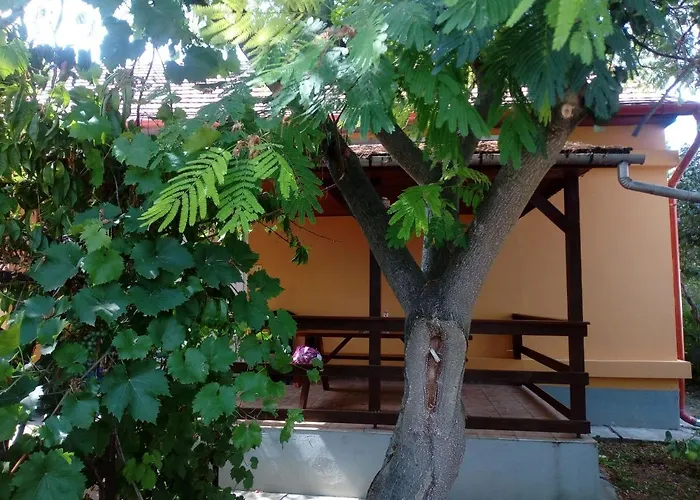 Abadi Karmazsin Haz * Абадсалок